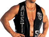 Stone Cold Steve Austin