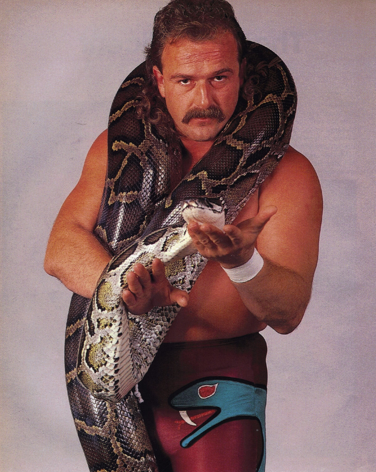 Jake Roberts | WWE Wiki | Fandom