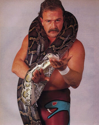 Jake Roberts