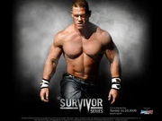 Survivor Series 2008