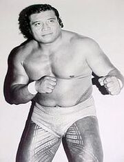 Peter Maivia