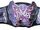 Divas Championship