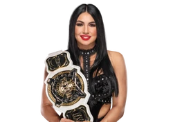 Wwe Women S Team Championship Wwe Divas Wiki Fandom