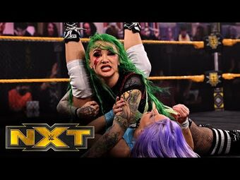 February 17 21 Nxt Wwe Divas Wiki Fandom