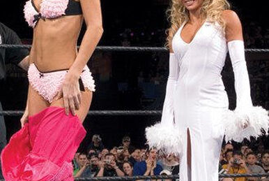 Sable was dressed to the nines in the evening gown - Former WWE  personality details the origin of Bra and Panties match