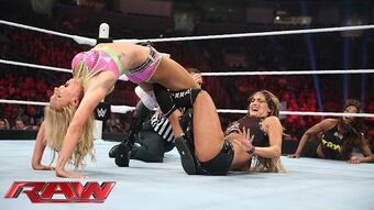 Figure clearance 8 wwe