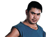 Taka Michinoku