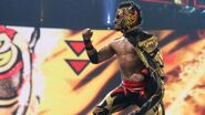 Lince-Dorado