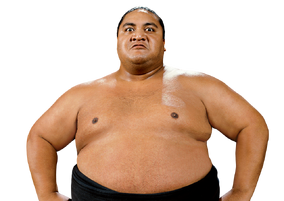 WWE ヨコヅナ wwe-ultimate-edition-yokozuna6