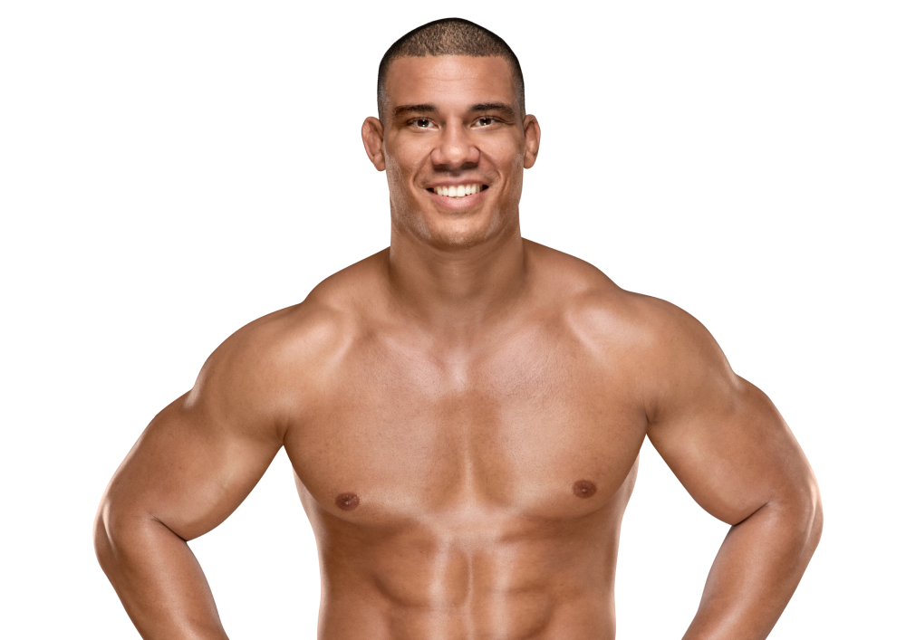 Jason Jordan Officialwwe Wiki Fandom