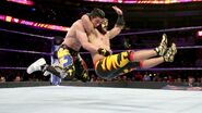 Lince Dorado stunner Perkins