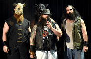 Rowan reuniting with The Wyatt Family