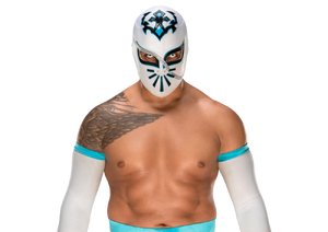 Sin Cara pro