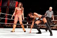 Tamina against Alicia-Fox