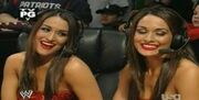 Bella Twins commentating