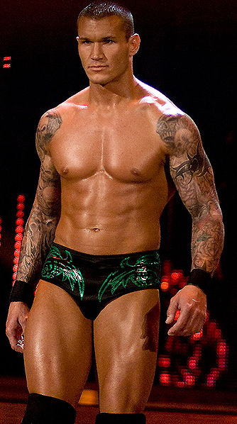 randy orton 2009 wwe champion