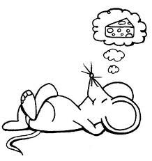 Mouse.jpg