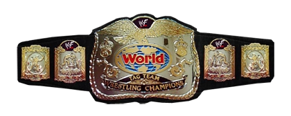 World Tag Team Championship The World Wrestling Virtual Entertainment