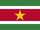 Suriname in the WWW Song Contest