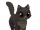 Cleocatra