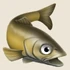 {{#ifexist:File:Walleye.png