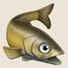 Walleye