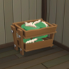 Silkworm Box