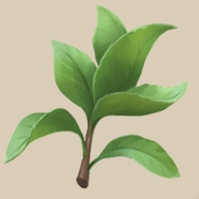 Image of Mint in inventory