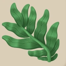 Image of Seaweed in inventory