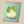 Fennel Seeds