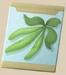 2x Green Bean Seeds