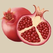 Image of Pomegranate in inventory