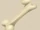 Bone