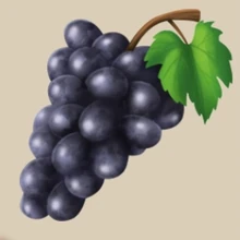 Image of Grapes in inventory
