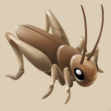 Image of Cricket in inventory