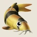 Loach