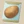 Potato Seeds