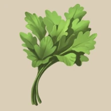 Image of Parsley in inventory