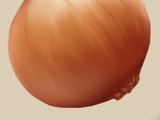 Onion