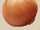 Onion