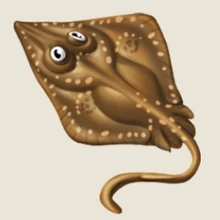 Image of Skate in inventory