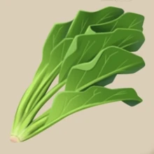 Image of Spinach in inventory