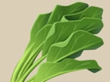 Spinach