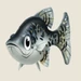 Black Crappie