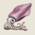 {{#ifexist:File:Squid.png
