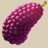 {{#ifexist:File:Mulberry.png