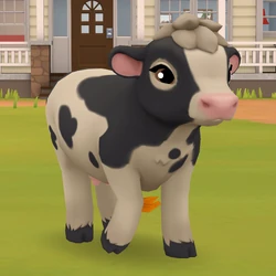 Cow