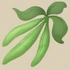 {{#ifexist:File:Green Bean.png