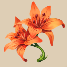 Tiger Lily | Wylde Flowers Wiki | Fandom