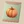 Pumpkin Seeds